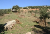 Suelo urbano en venta en la España, Navahermosa, ref: TR314514 foto