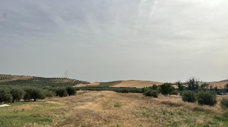 Granada - Chimeneas - 963m2