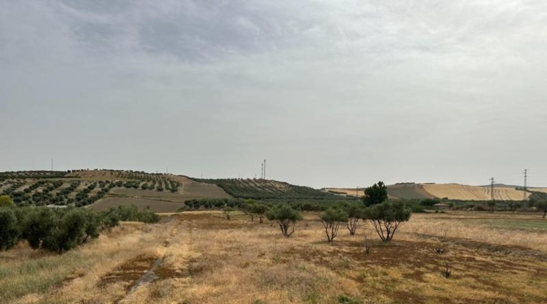 Granada - Chimeneas - 963m2