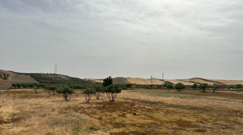 Granada - Chimeneas - 963m2