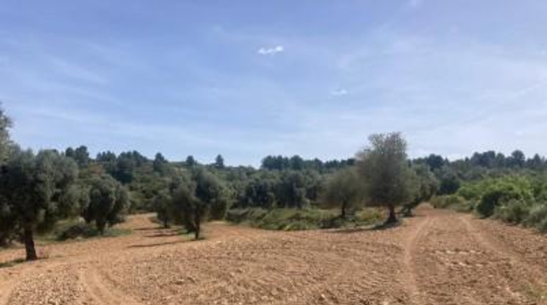 Teruel - Calaceit - 25m2