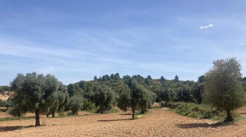 Teruel - Calaceit - 25m2