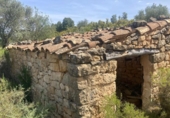 Chalet independiente con terreno en venta en la España, Calaceite, ref: TR407345 foto