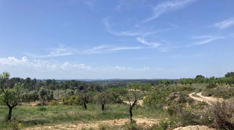 Teruel - Calaceit - 25m2