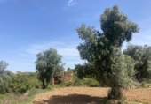 Chalet independiente con terreno en venta en la España, Calaceite, ref: TR407345 foto