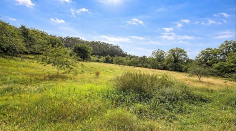 Asturias - Villaviciosa - 3960m2