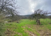 Terreno no urbanizable en venta en la España, Villaviciosa, ref: TR128121 foto