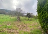 Terreno no urbanizable en venta en la España, Villaviciosa, ref: TR128121 foto