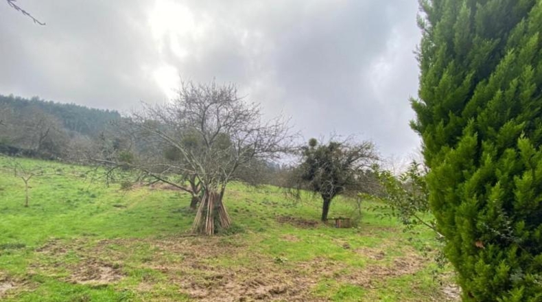 Asturias - Villaviciosa - 3960m2