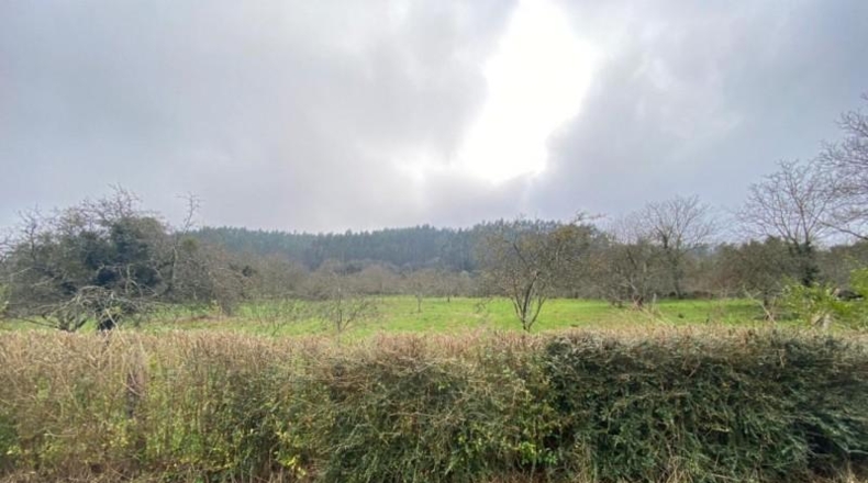 Asturias - Villaviciosa - 3960m2