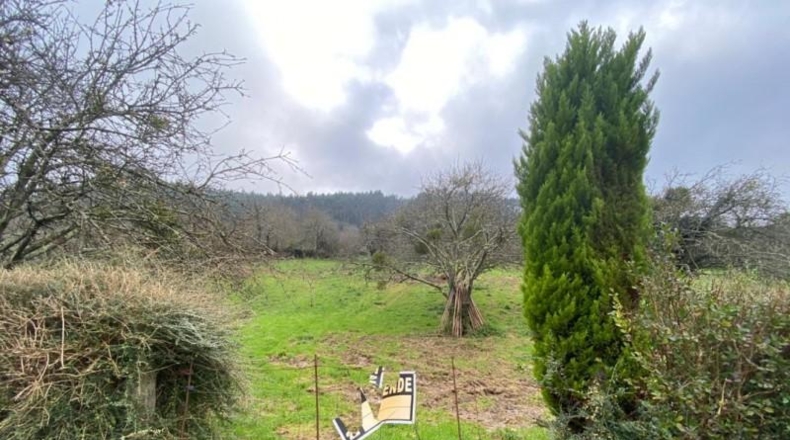 Asturias - Villaviciosa - 3960m2