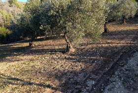 Bullas 3260&nbsp;m²