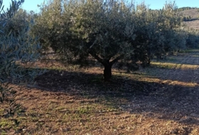 Bullas 3260&nbsp;m²