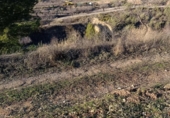 Terreno no urbanizable en venta en la España, Bullas, ref: TR374254 foto