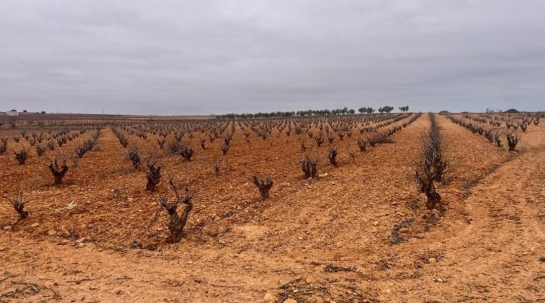 Albacete - Casas-Ibáñez - 9408m2