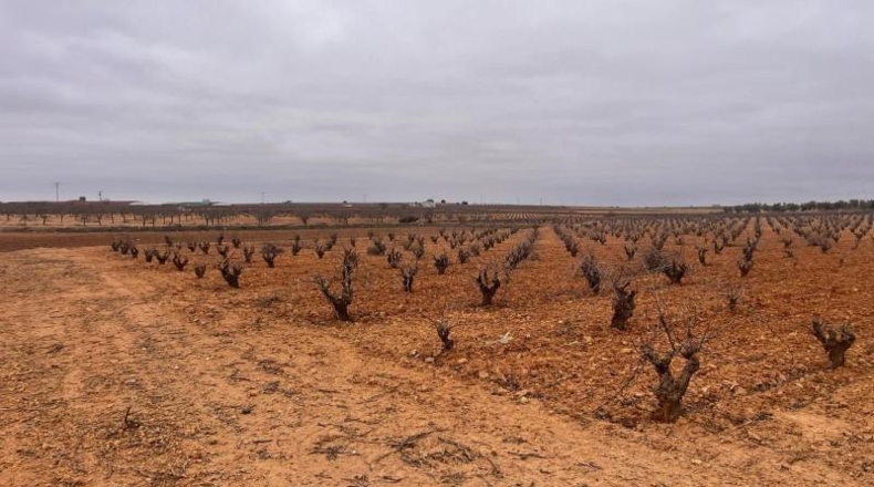 Albacete - Casas-Ibáñez - 9408m2
