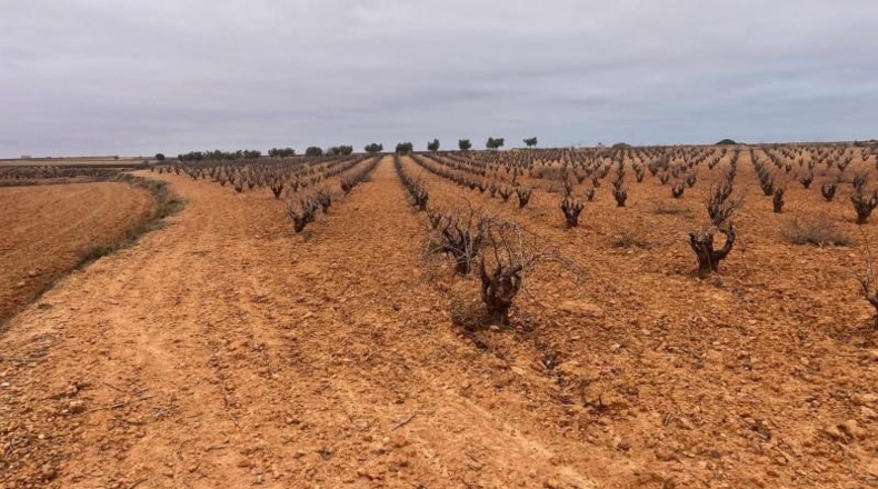 Albacete - Casas-Ibáñez - 9408m2