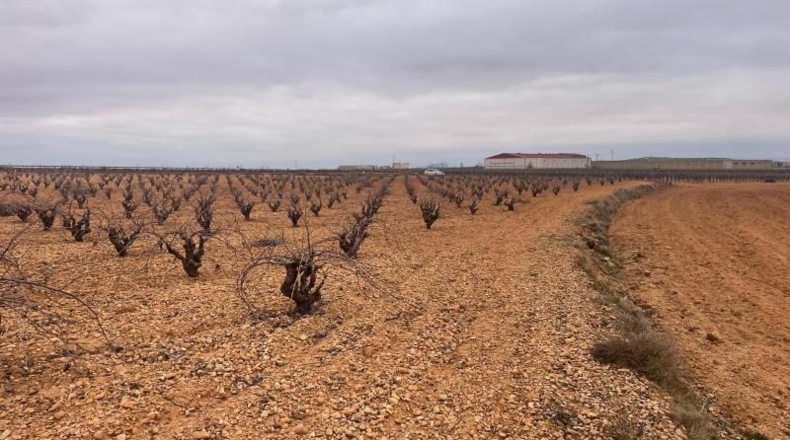 Albacete - Casas-Ibáñez - 9408m2