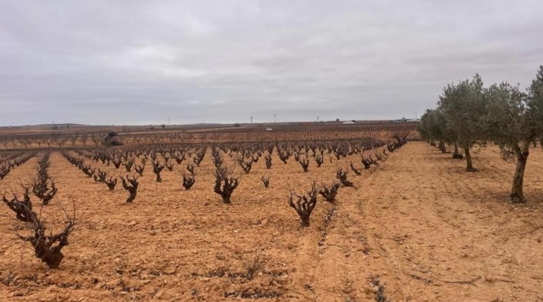 Albacete - Casas-Ibáñez - 9408m2