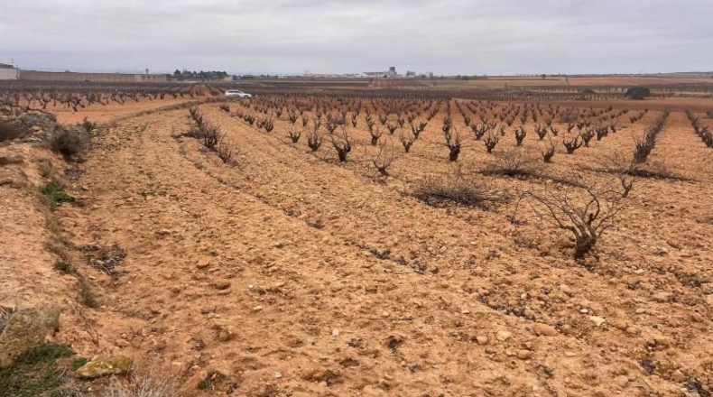 Albacete - Casas-Ibáñez - 9408m2