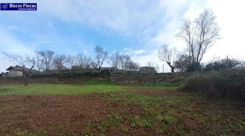 León - Castropodame - 567m2