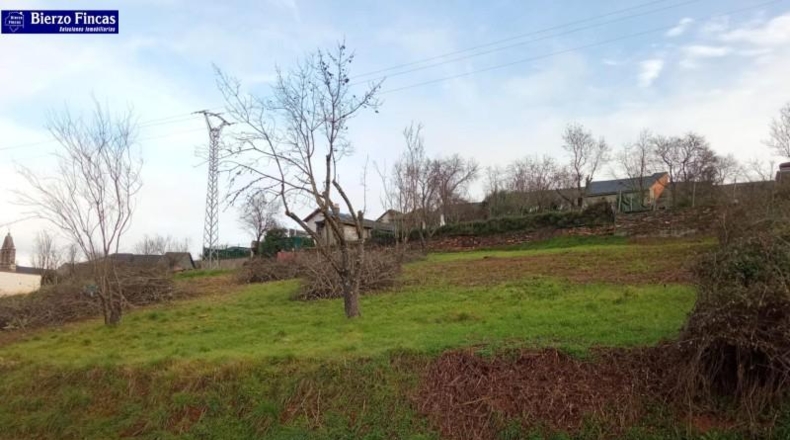 León - Castropodame - 567m2