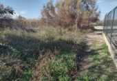 Terreno no urbanizable en venta en la España, Murcia, ref: TR179601 foto