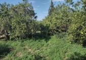 Terreno no urbanizable en venta en la España, Murcia, ref: TR179601 foto