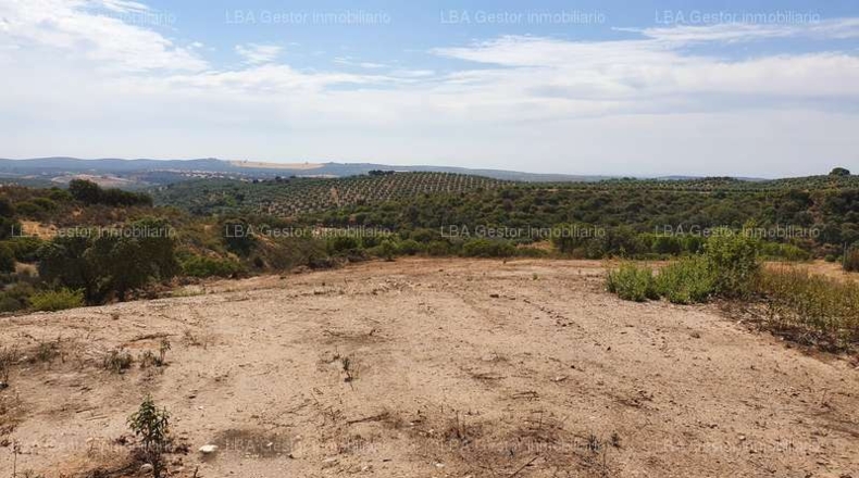 Jaén - Guarromán - 5000m2