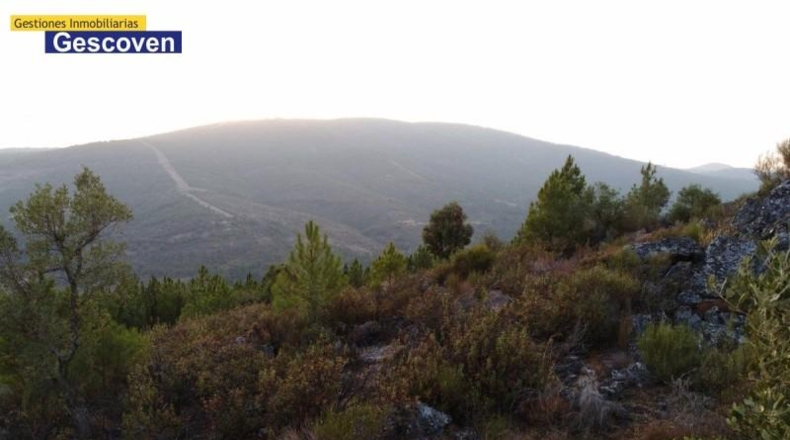 Cáceres - Valencia de Alcántara - 15741m2