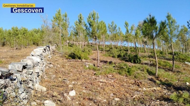 Cáceres - Valencia de Alcántara - 15741m2