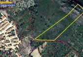 Non-developable land for sale on España, Valencia de Alcántara, ref: TR317187 photo