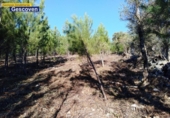 Non-developable land for sale on España, Valencia de Alcántara, ref: TR317187 photo