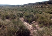 Terreno no urbanizable en venta en la España, Almansa, ref: TR134426 foto