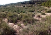 Terreno no urbanizable en venta en la España, Almansa, ref: TR134426 foto