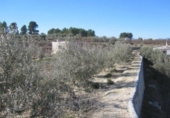 Casa de camp amb terreny en venda a la España, Calasparra, ref.: TR298487 foto