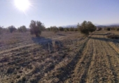 Non-developable land for sale on España, Calasparra, ref: TR119490 photo