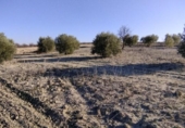 Non-developable land for sale on España, Calasparra, ref: TR119490 photo