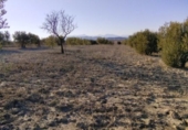 Non-developable land for sale on España, Calasparra, ref: TR119490 photo