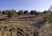 Non-developable land for sale on España, Calasparra, ref: TR119490 photo