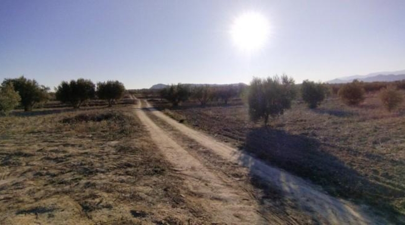 Múrcia - Calasparra - 7990m2