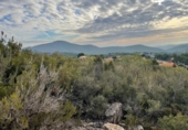 Parcela urbanizable en venta en la España, la Joncosa del Montmell, ref: TR310297 foto