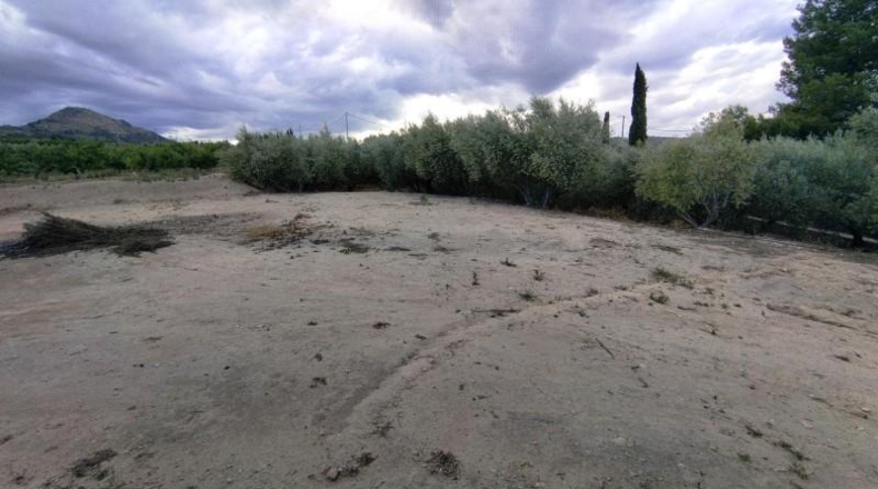 Murcia - Calasparra - 1500m2