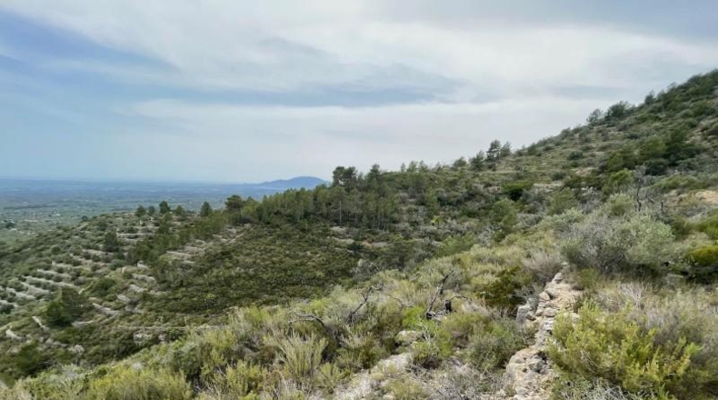 Tarragona - Tortosa - 16491m2