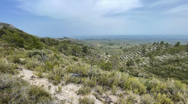 Tarragona - Tortosa - 16491m2