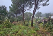 Suelo urbano en venta en la España, Riudarenes, ref: TR264862 foto