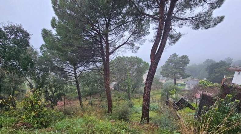 Gerona - Riudarenes - 808m2