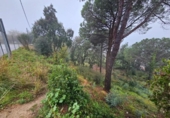 Suelo urbano en venta en la España, Riudarenes, ref: TR264862 foto