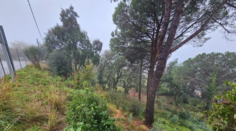Gerona - Riudarenes - 808m2