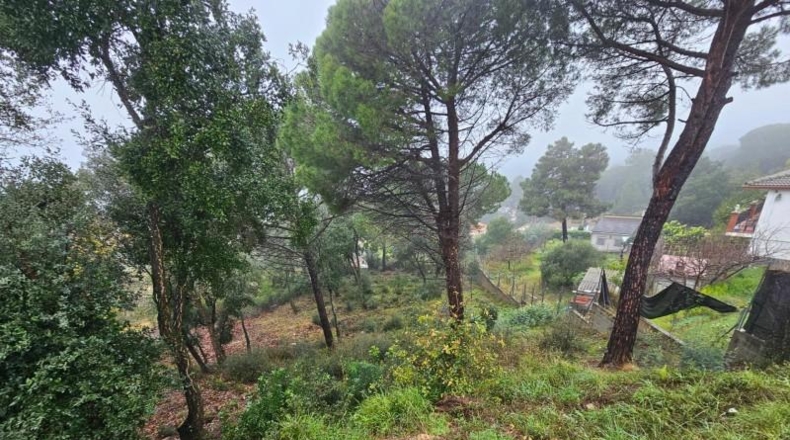 Gerona - Riudarenes - 808m2
